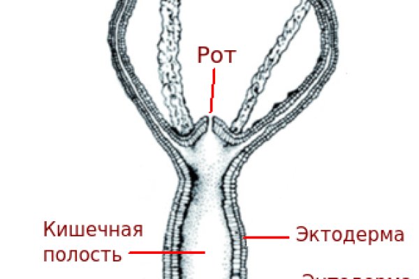 Зеркало kraken kraken16 at kraken16 at