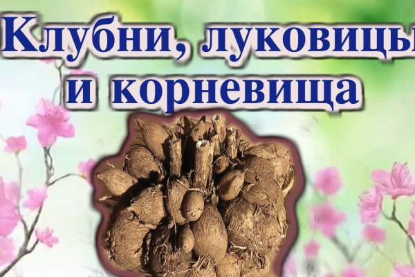 Ссылка на кракен kr2web in