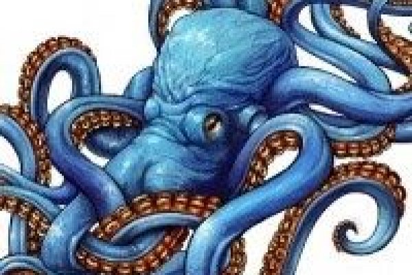 Kraken даркнет переходник