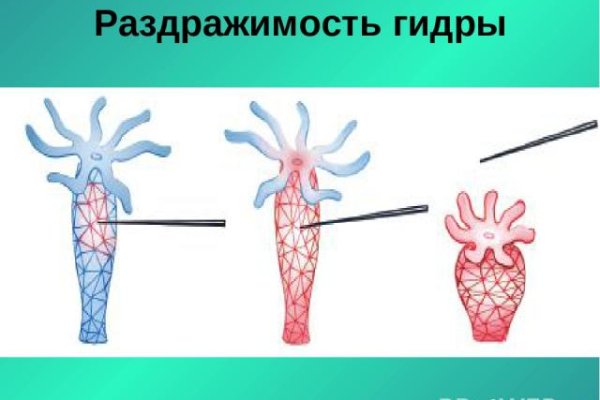 Ссылка на кракен